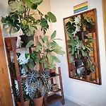 Good Mornings Apartment
